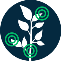 SYMBIOMICS - Pipeline - Icone 1 (1)