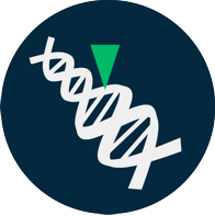 SYMBIOMICS - Pipeline - Icone 5