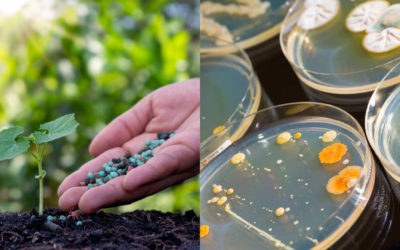 produtos biológicos e fertilizantes