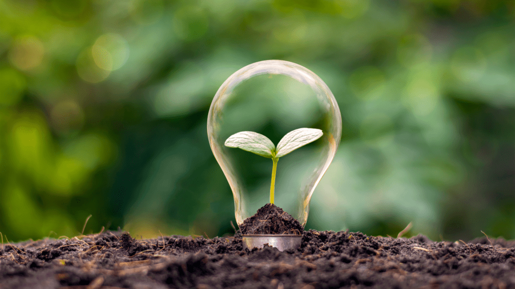 soluções baseadas na natureza